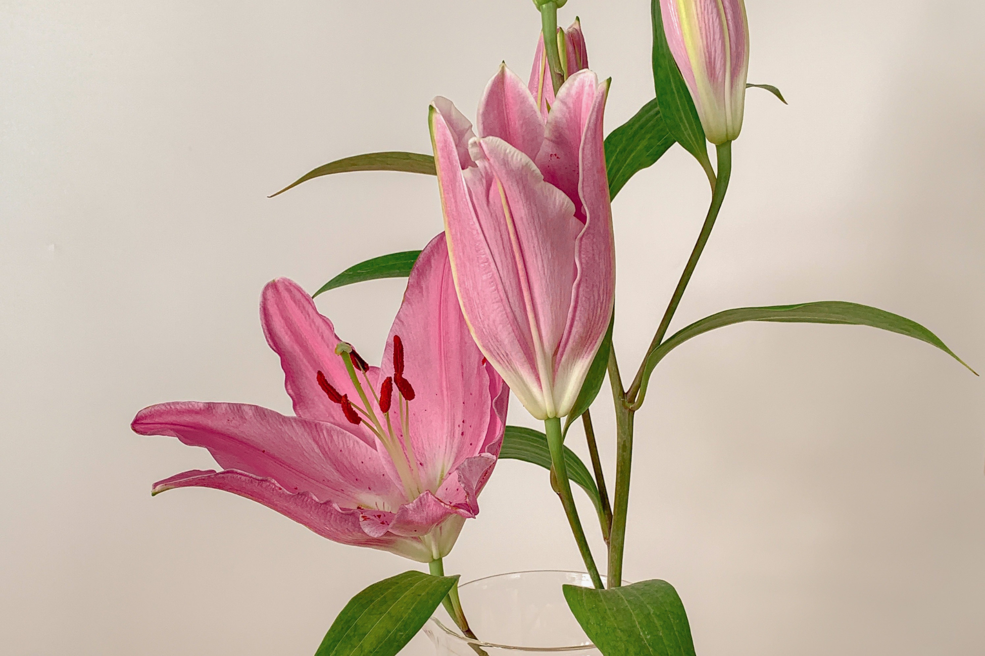 Bereid je huid voor op de lente met collageen