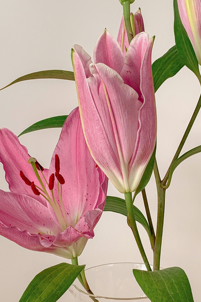 Bereid je huid voor op de lente met collageen