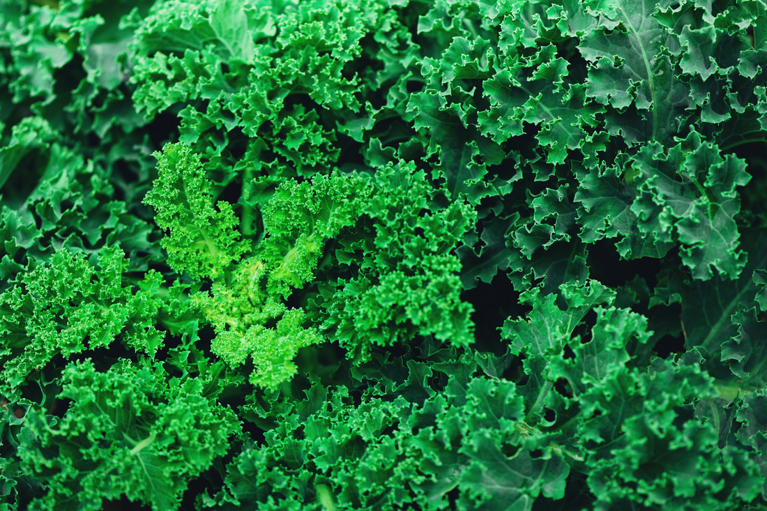 Superfoods: verbeter je gezondheid met de krachtpatsers van de natuur