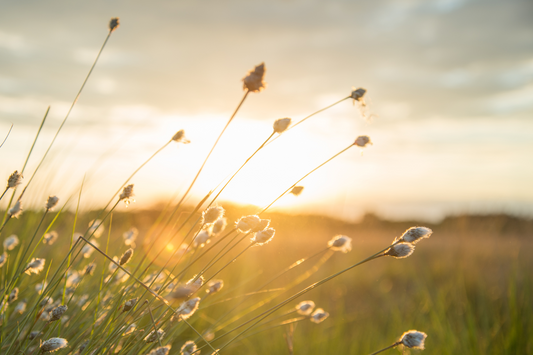 Waarom kan het nemen van vitamine D3 ook in de zomer belangrijk zijn?