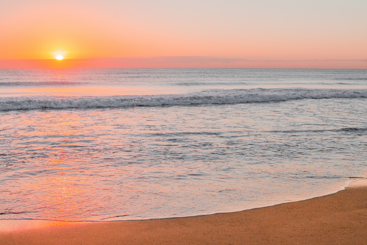 alles over vitamine d