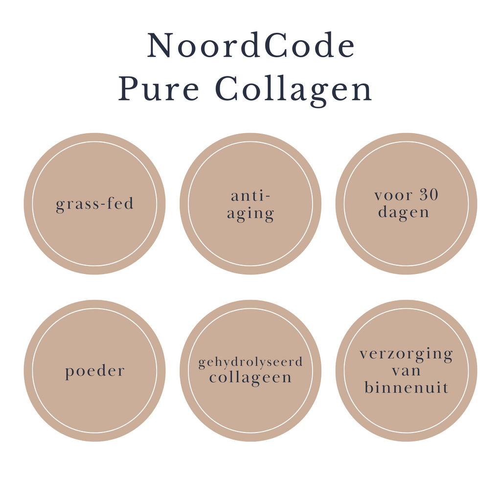 noordcode beautysups