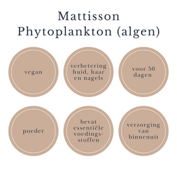mattisson algen phytoplankton beautysups
